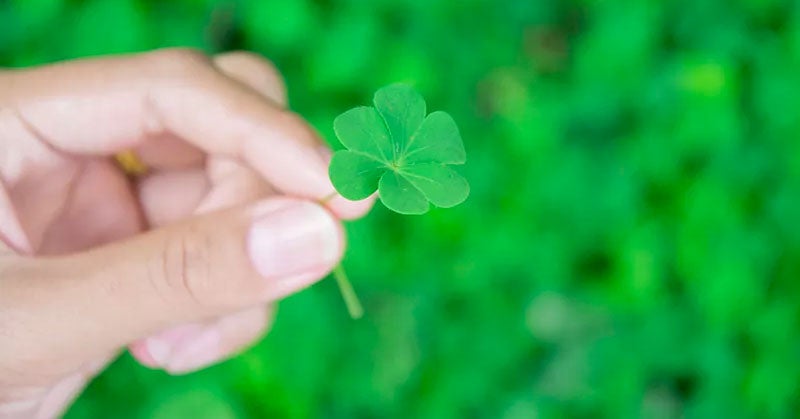 Hand holding up a lucky green clover