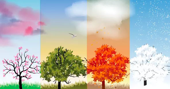Illustration of a tree drawn in four seasons