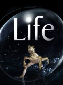 Life